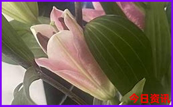 营山一日游去哪玩最好