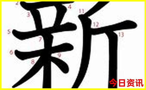 2023澳门全年历史记录怎么查