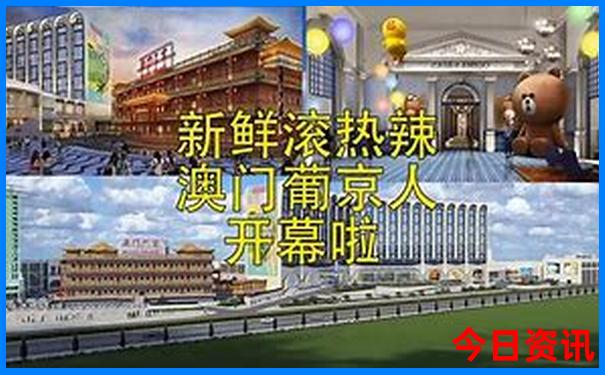 新澳精准资料免费提供网站